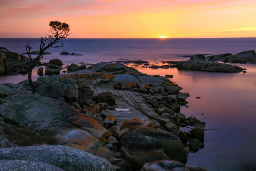 The Tin Shed Couples Accommodation At Bay Of Fires Binalong Bay Exterior photo